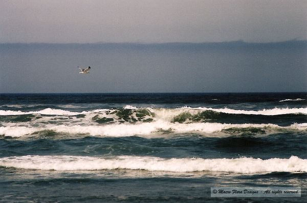 California Coast