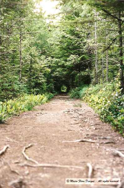 Florencia Trail
