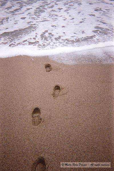 Footprints