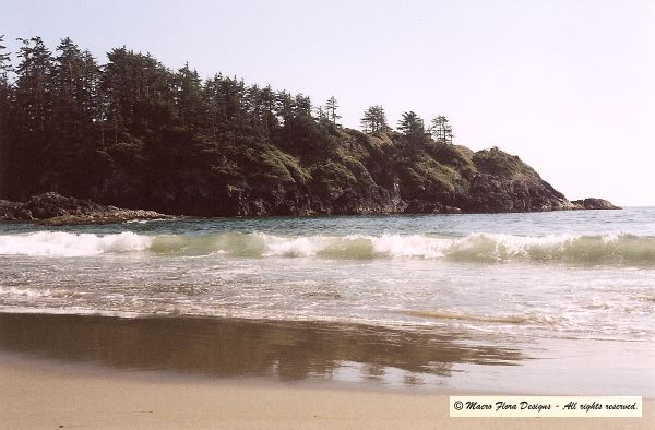 Half Moon Bay