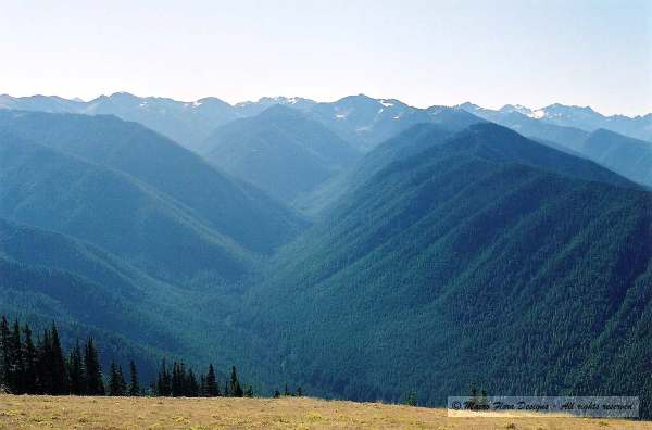 Hurricane Ridge