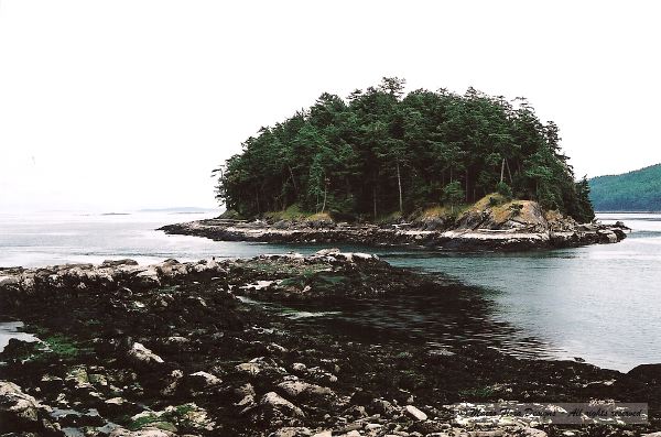Mayne Island Beach