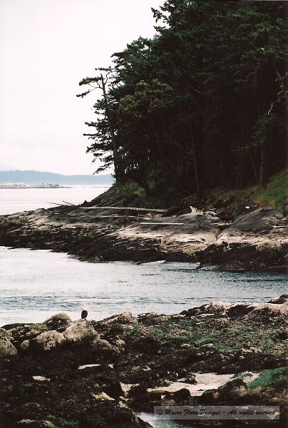 Mayne Island Beach 