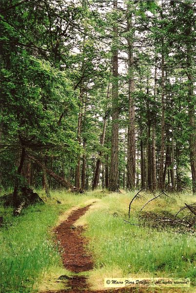 Mayne Island Trail