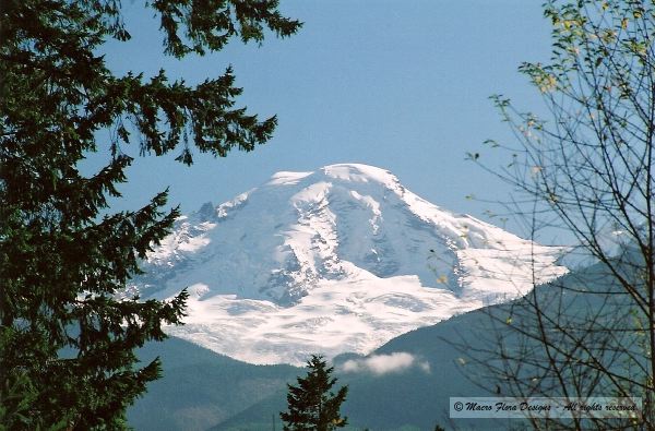 Mt. Baker