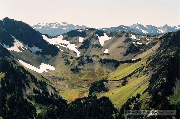 Olympic National Park Alpine