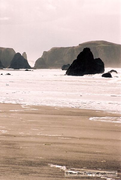 Oregon Coast