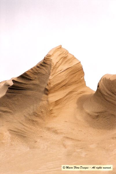 Oregon Sand Dunes