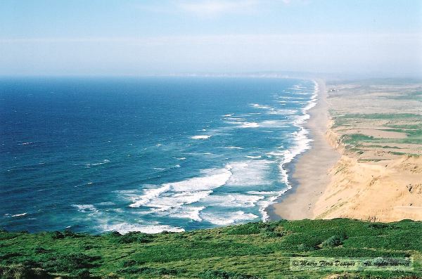 Point Reyes Coast