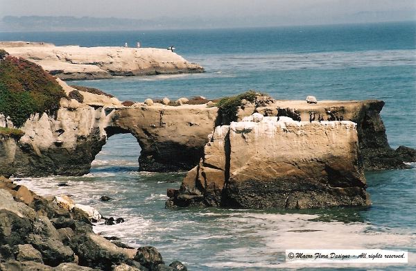 Santa Cruz