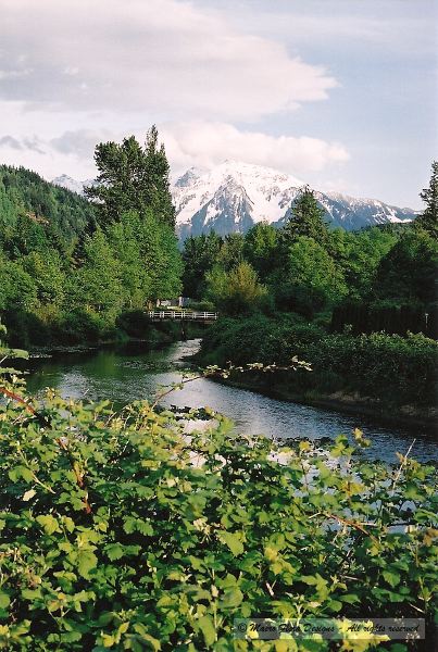 Stream at Harrison Hot Springs
