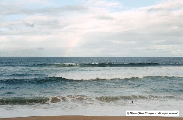 California Beach