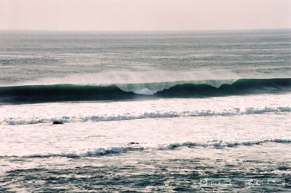Wave