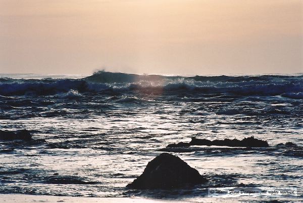 Waves