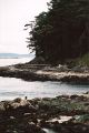Mayne Island Beach 